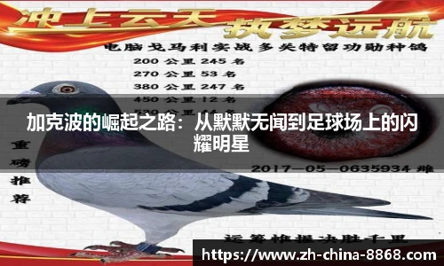 加克波的崛起之路：从默默无闻到足球场上的闪耀明星