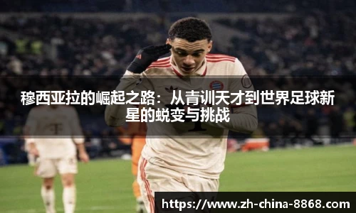 关键词4